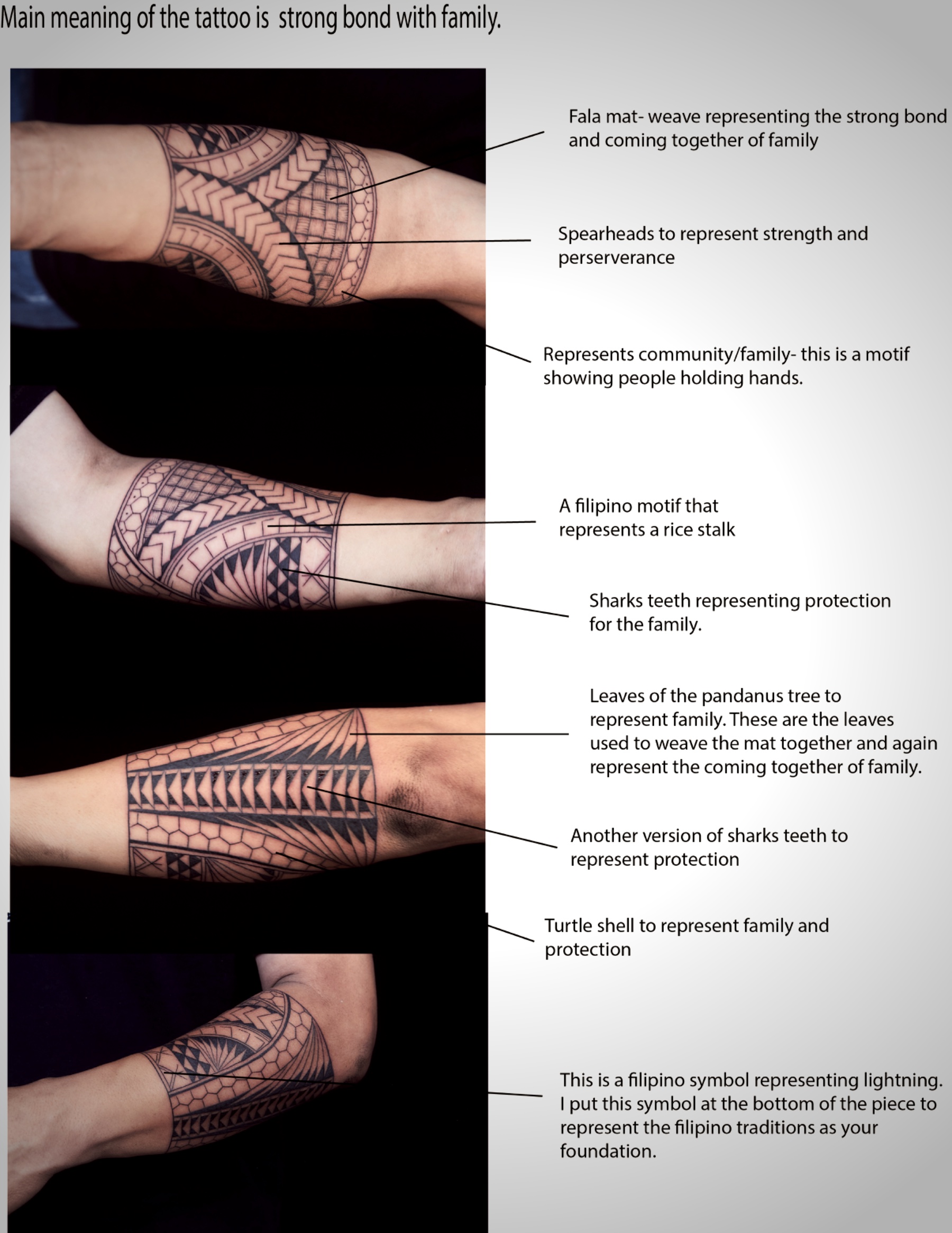 The Visual Vocabulary of Polynesian Tattoos
